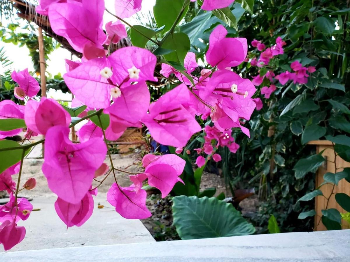 Biserka House Villa * Kiwengwa (Zanzibar)