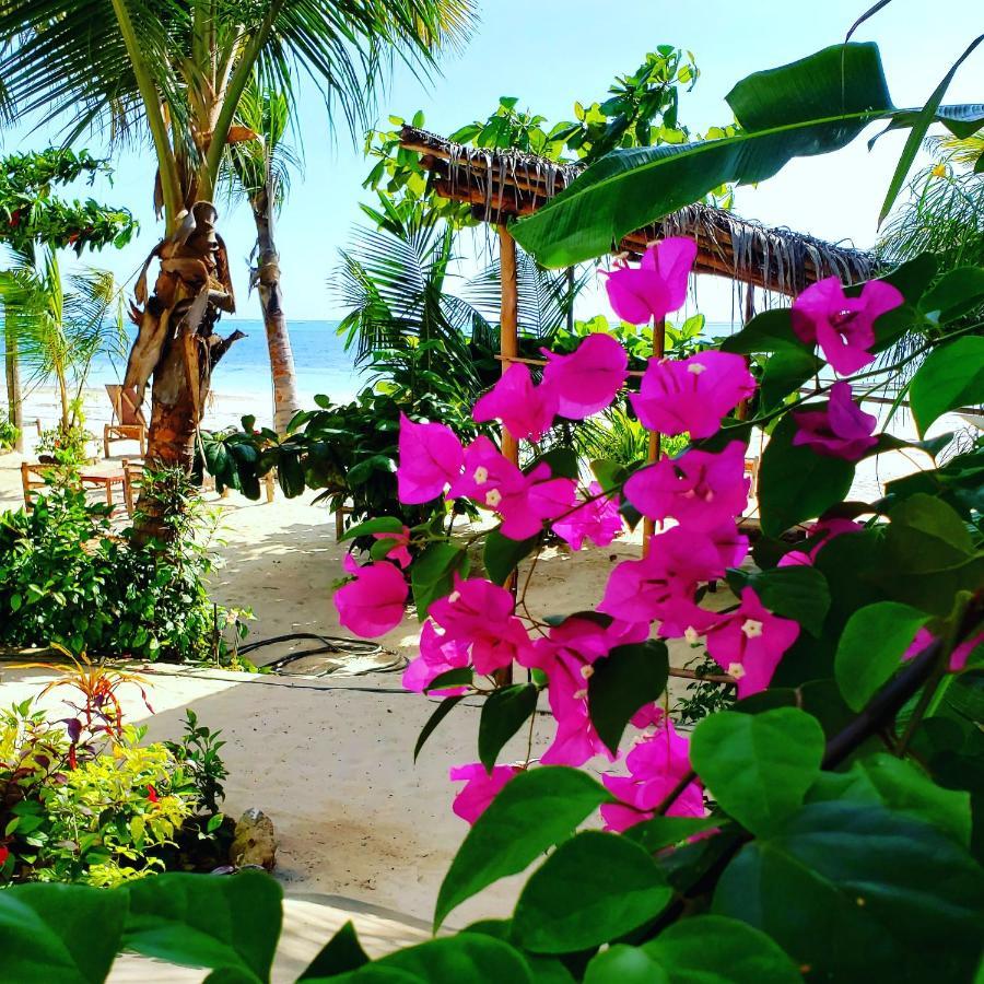 Biserka House Villa * Kiwengwa (Zanzibar)